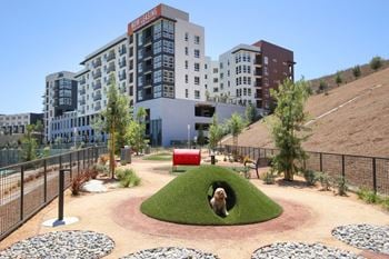 Pet spa and dog park